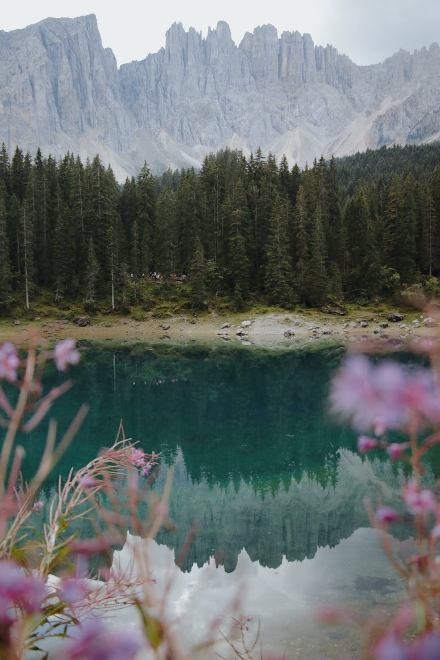 Nature - Grow with me naturally